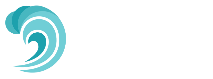 Dry Pocket logo