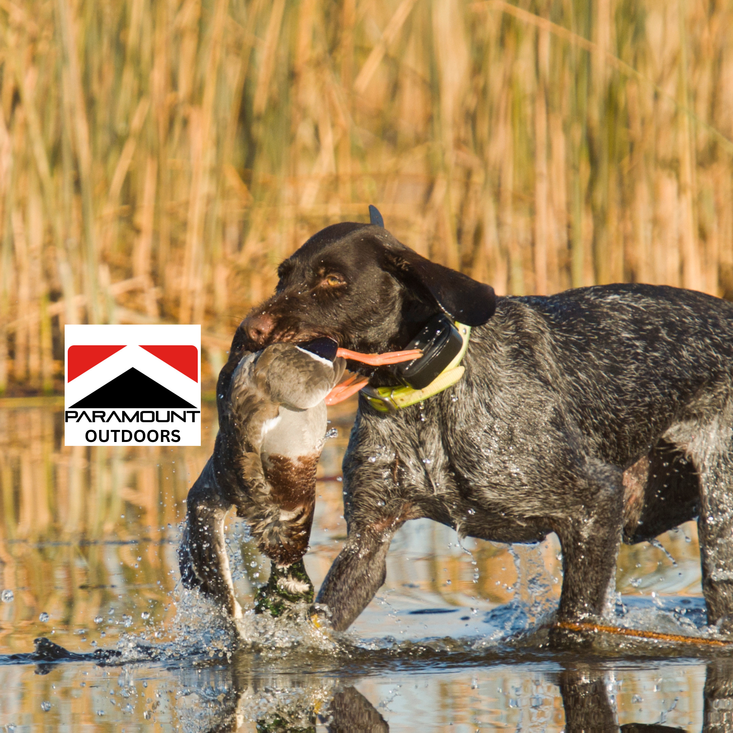 Paramount Outdoors, Dry Pocket, Dry Pocket Apparel