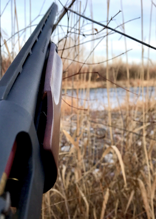 Shotgun Bag + Pistol Bag (Mossy Oak Shadow Grass Habitat)