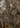 The Huntsman Bundle - Shotgun Bag + Pistol Bag + Dry Bag + Day Pack Cooler (Mossy Oak New Bottomland)