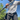 Dry Pocket Waterproof Pocket Shorts 