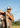Man in camouflage shirt and cap holding a hunting rifle with a clear blue sky and trees in the background