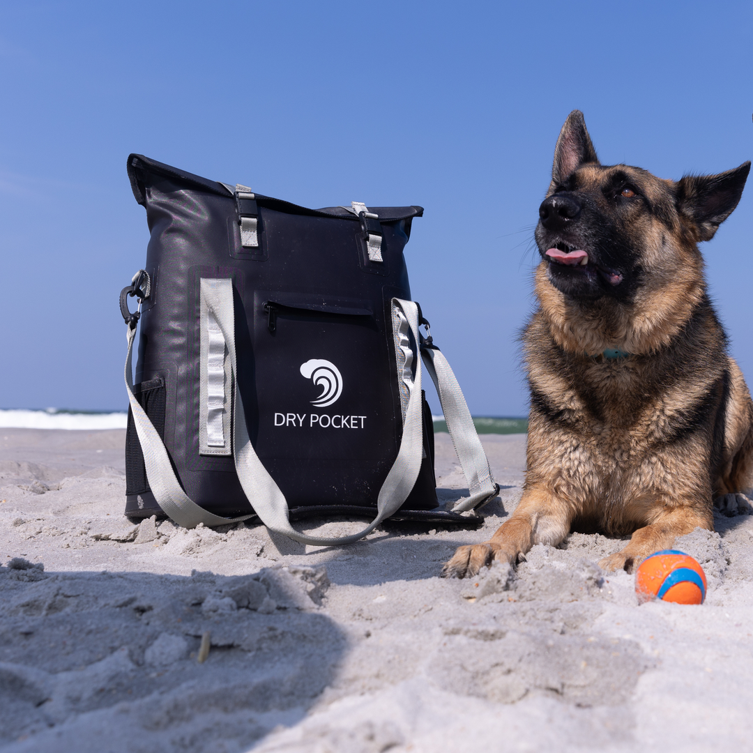 Dry Pocket black magnetic auto-sealing, waterproof, scent proof, and floating 16 can tote cooler that can also act as a dry bag. 