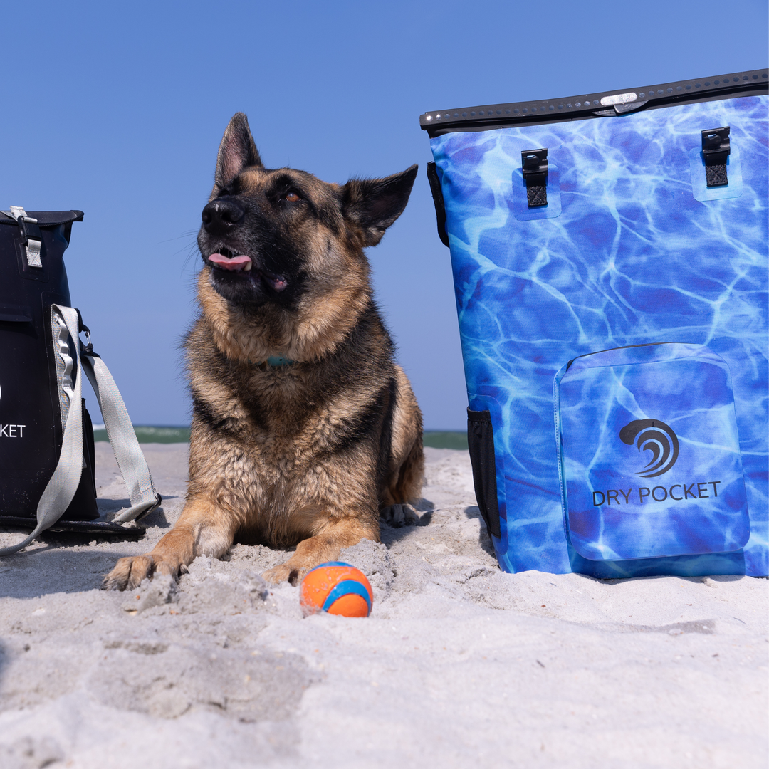 Dry Pocket blue magnetic auto-sealing, waterproof, scent proof, and floating 18 can backpack cooler that can also act as a waterproof dry bag. 
