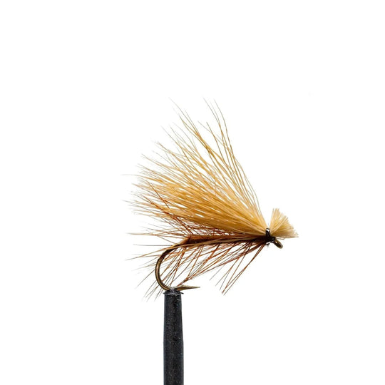 JHFLYCO Loaded Foam Fly Box - Standard Dry Fly Assortment