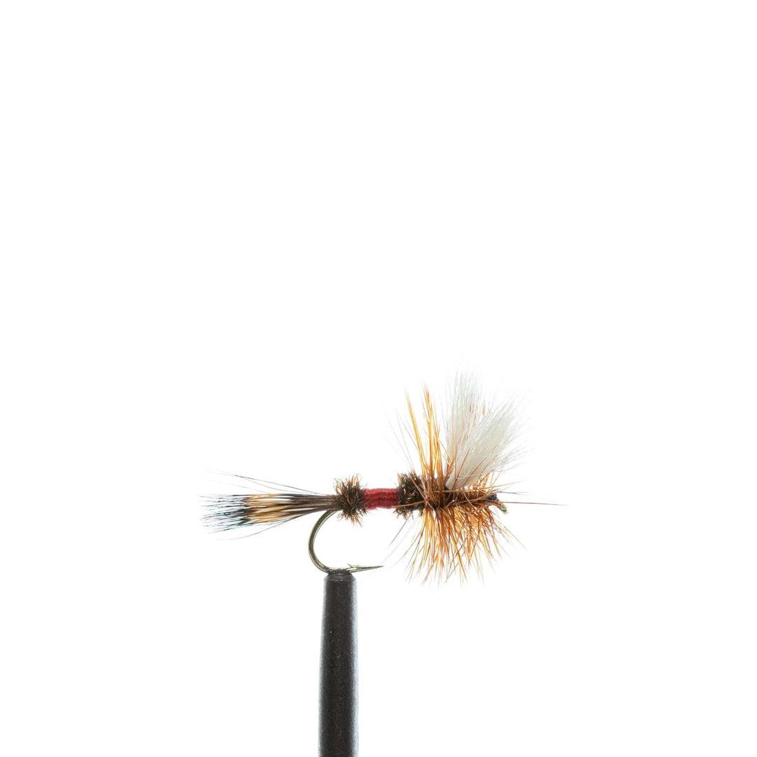 JHFLYCO Loaded Foam Fly Box - Standard Dry Fly Assortment