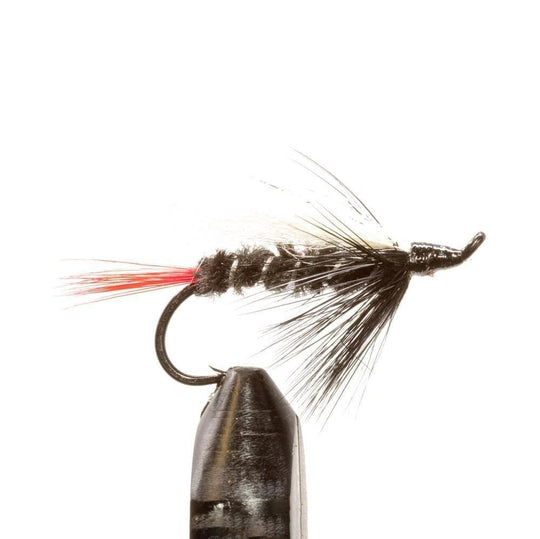 JHFLYCO Loaded Foam Fly Box - Salmon Fly Assortment