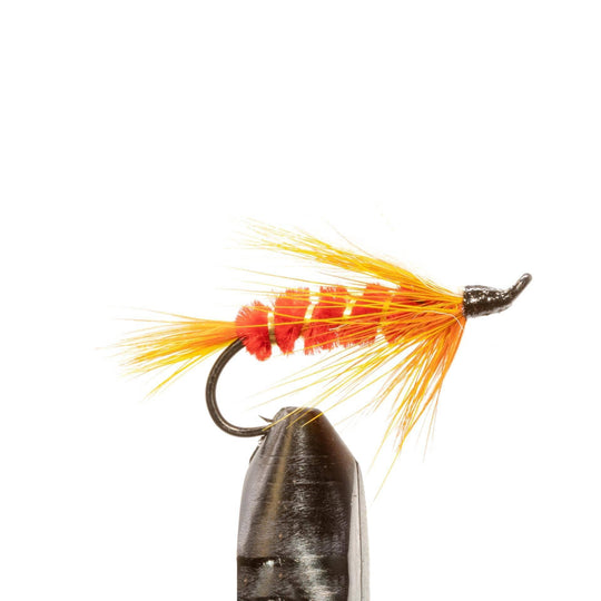 JHFLYCO Loaded Foam Fly Box - Salmon Fly Assortment